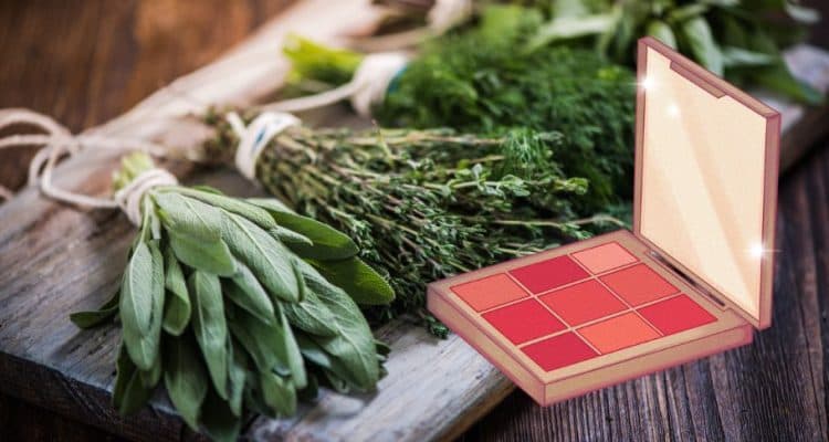 Приложение на билките в козметиката