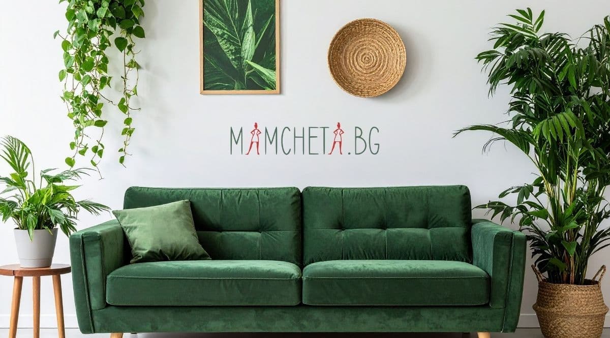 7 начина да подредиш твоите саксии така, че да изглеждат като от Pinterest